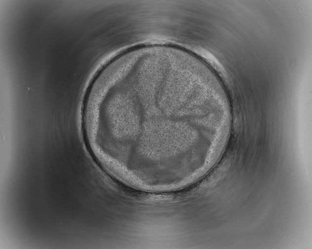 X0000094341183200711301242