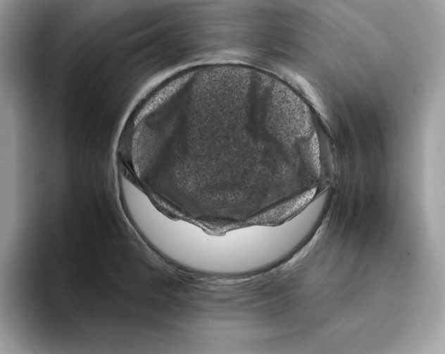 X0000094341184200711301242