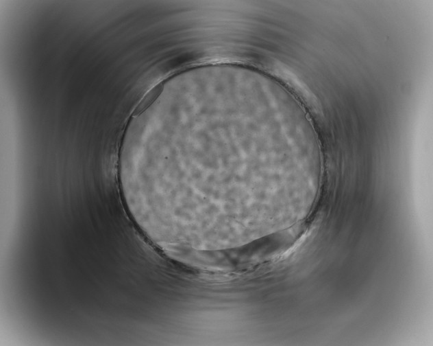 X0000094341185200711301242