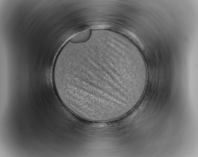 X0000094341186200711301242