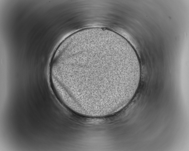 X0000094341187200711301242