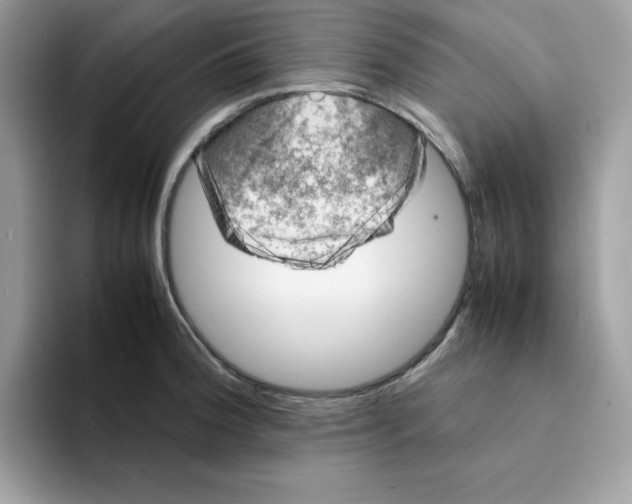 X0000094341188200711301242