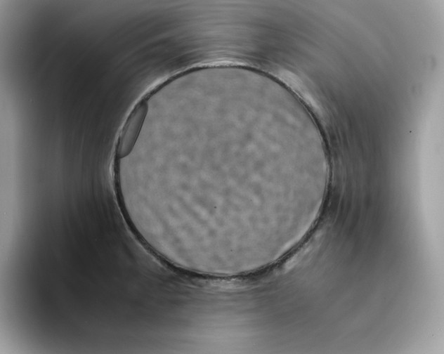 X0000094341189200711301242