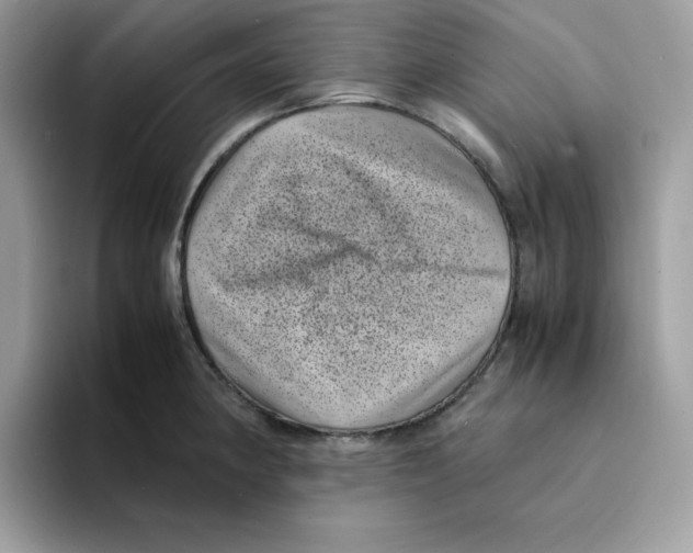 X0000094341190200711301242