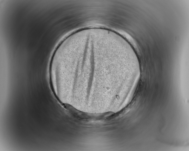 X0000094341191200711301242