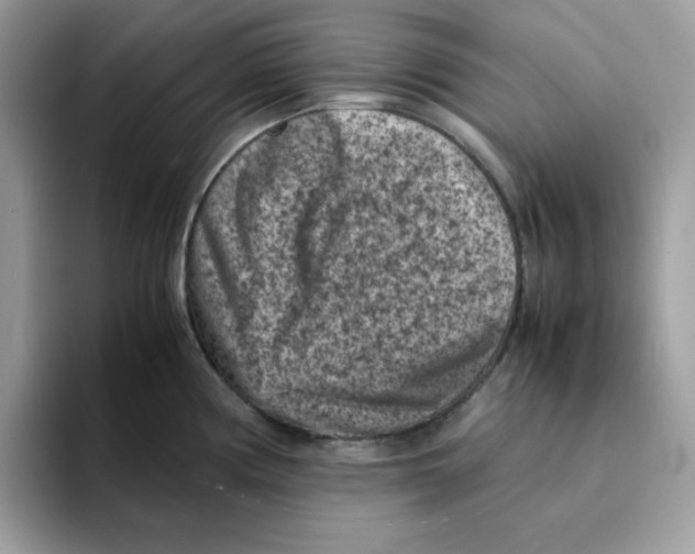 X0000094341194200711301242