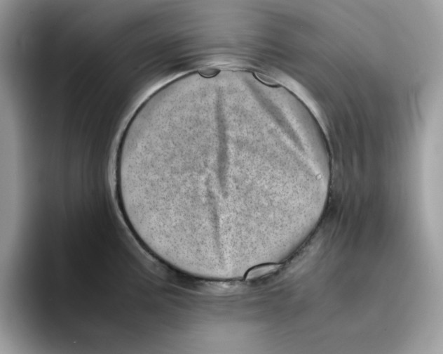 X0000094341195200711301242