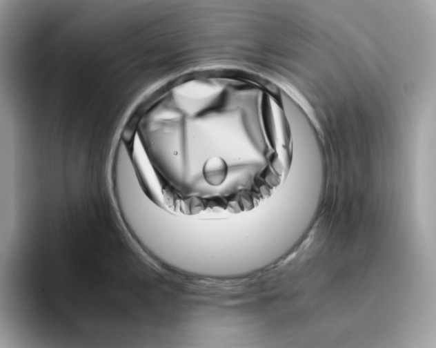 X0000094341197200711301242