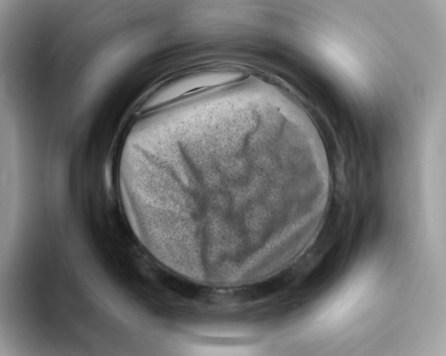 X0000094341198200711301242