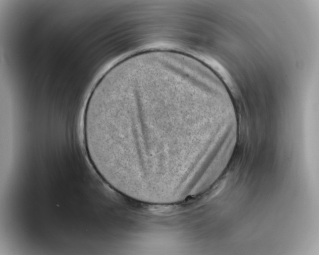 X0000094341199200711301242