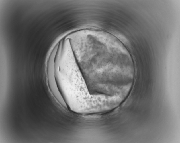 X0000094341200200711301242