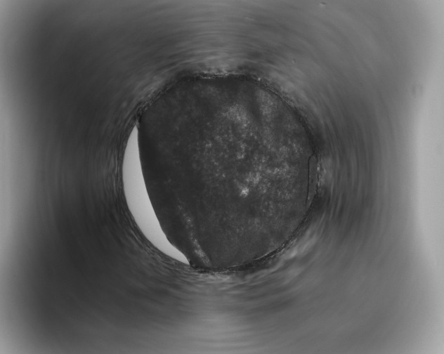 X0000094341202200711301242