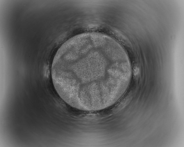 X0000094341204200711301242