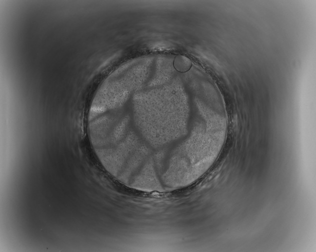 X0000094341205200711301242