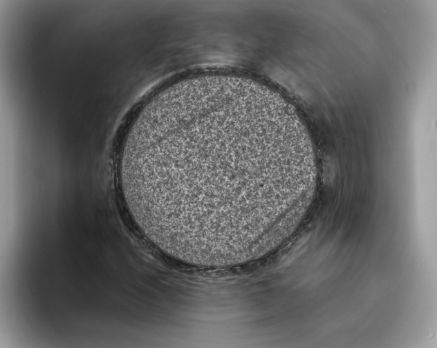 X0000094341208200711301242