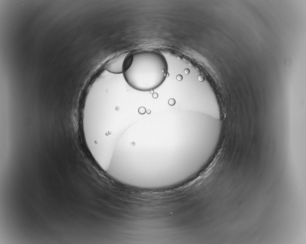 X0000094341212200711301242