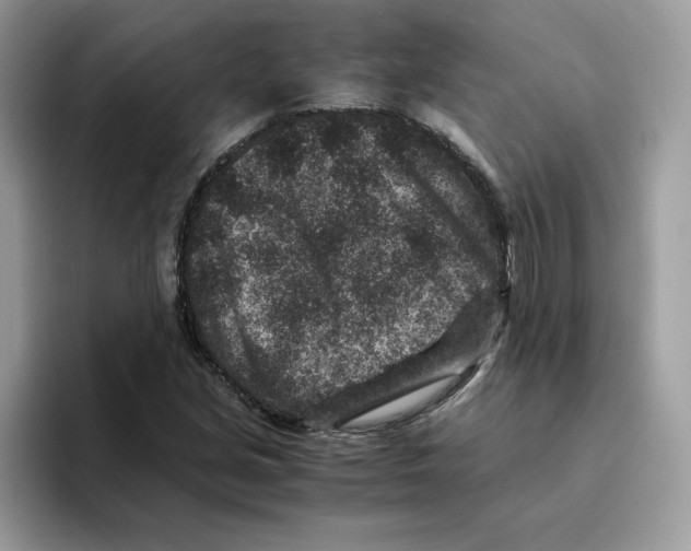 X0000094341213200711301242