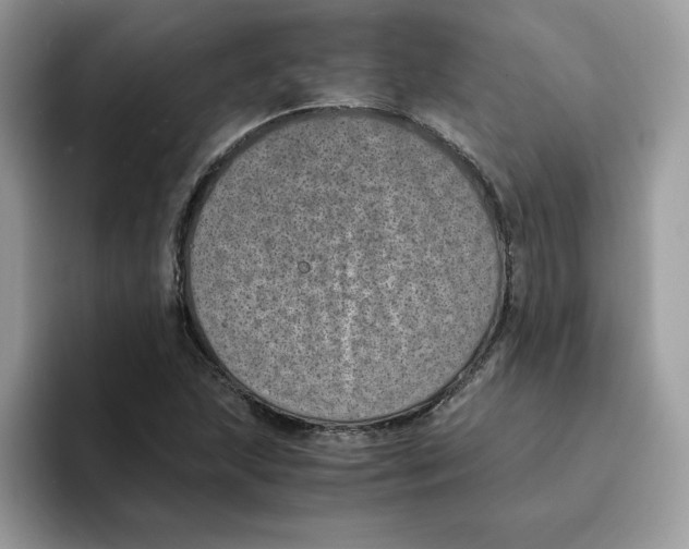 X0000094341215200711301242