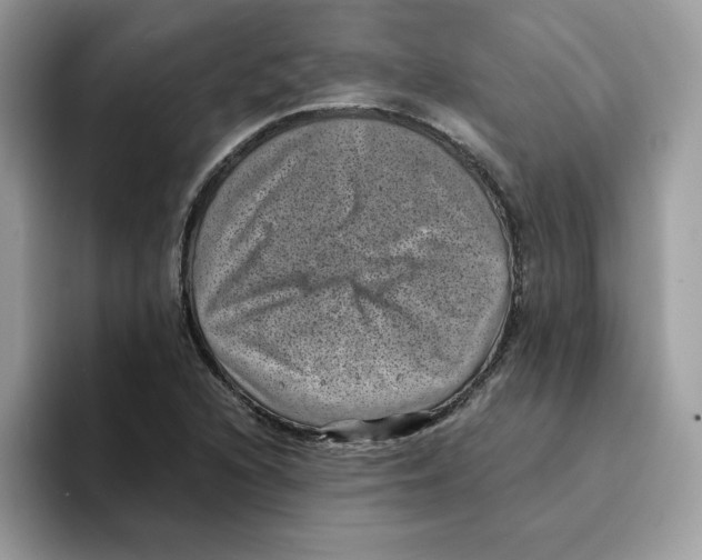 X0000094341216200711301242