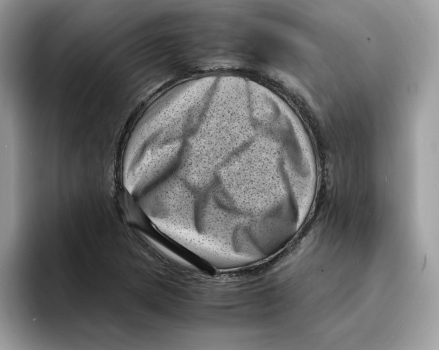 X0000094341217200711301242