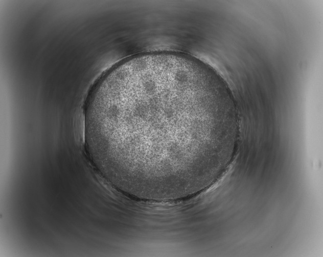 X0000094341219200711301242