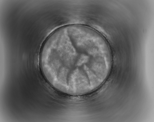 X0000094341220200711301242