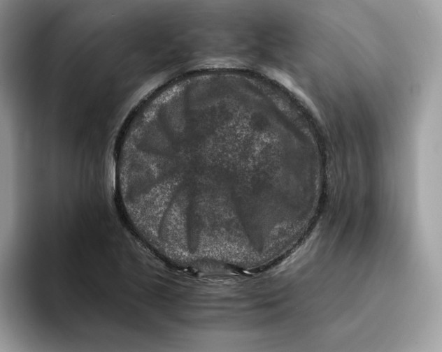 X0000094341221200711301242