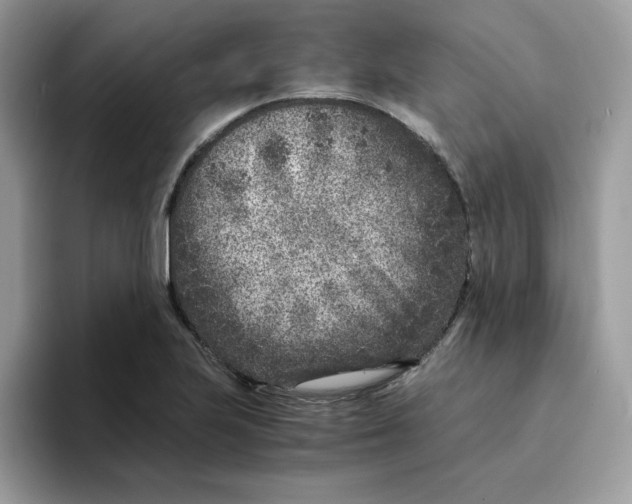 X0000094341223200711301242