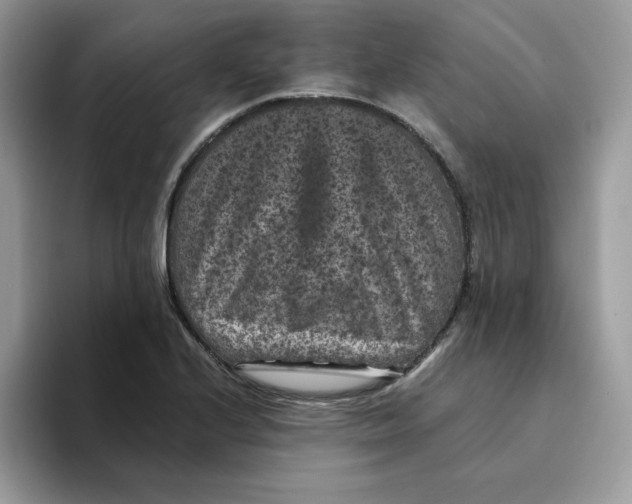 X0000094341224200711301242