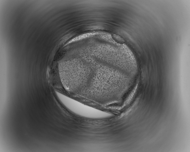 X0000094341225200711301242