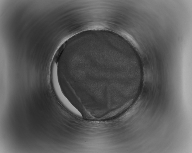 X0000094341226200711301242