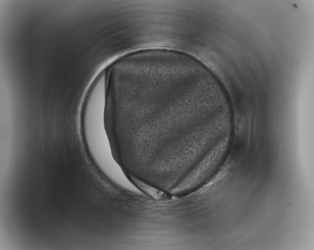 X0000094341230200711301242