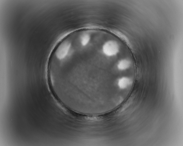 X0000094341231200711301242