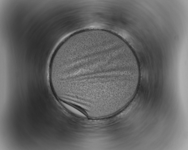 X0000094341232200711301242