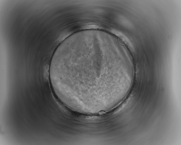 X0000094341233200711301242