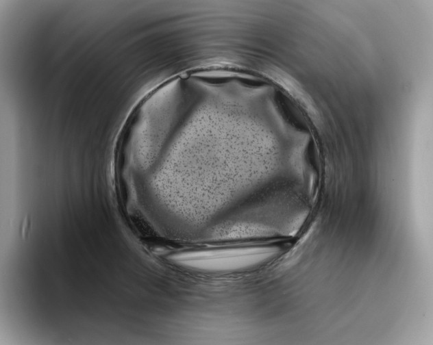 X0000094341234200711301242