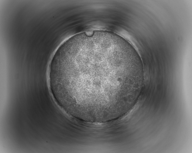 X0000094341235200711301242