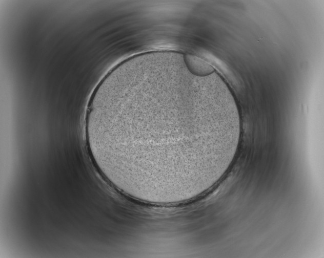 X0000094341236200711301242