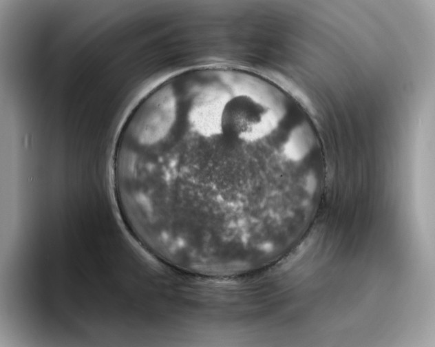 X0000094341239200711301242