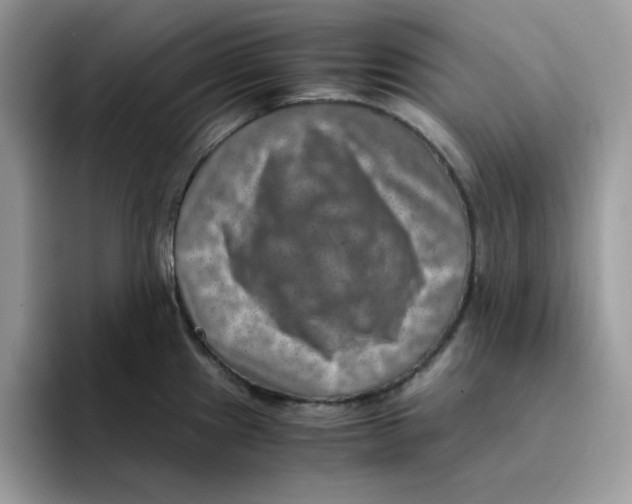 X0000094341241200711301242