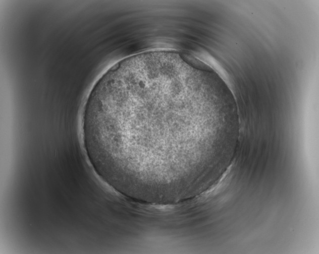 X0000094341243200711301242