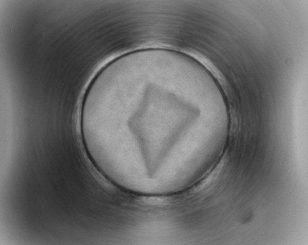 X0000094341246200711301242