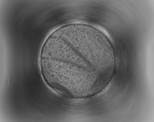 X0000094341247200711301242