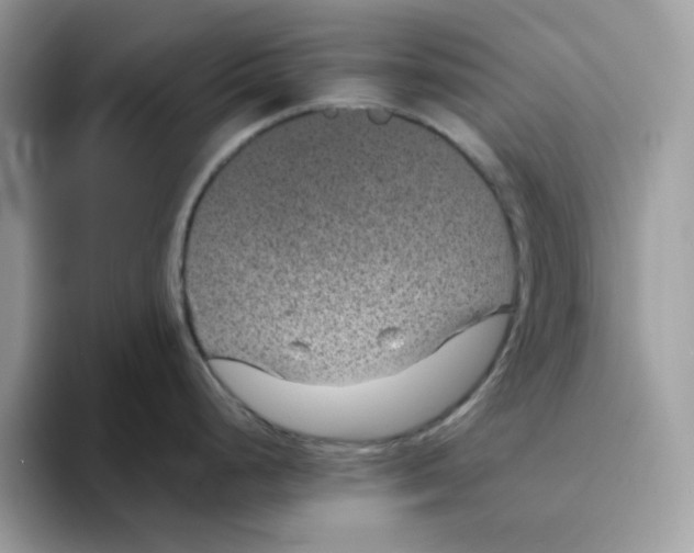 X0000094341248200711301242