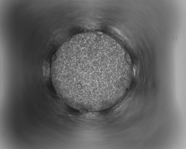 X0000094341251200711301241