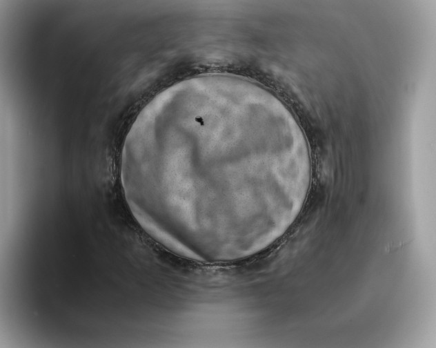 X0000094341253200711301241