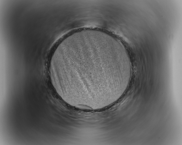 X0000094341256200711301241