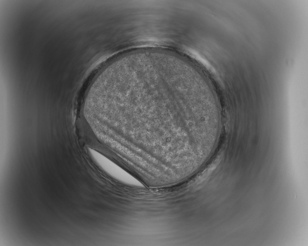 X0000094341259200711301241