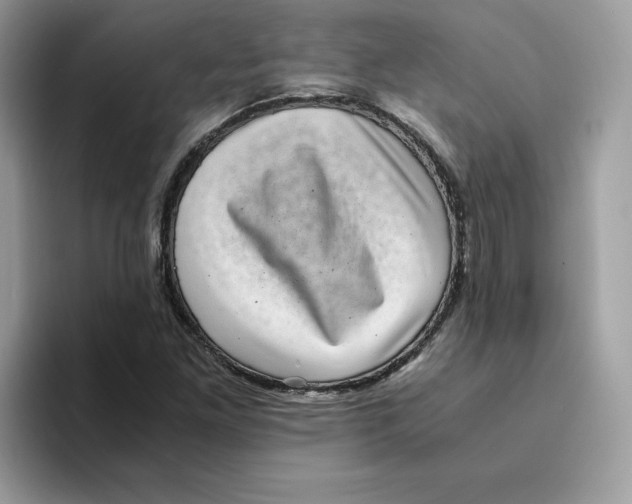 X0000094341261200711301241