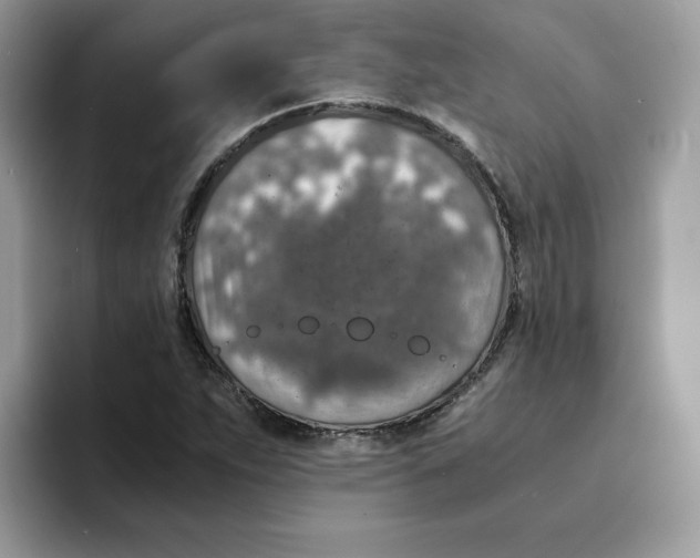 X0000094341263200711301241